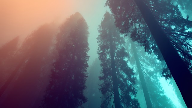 ADA Compliance Services