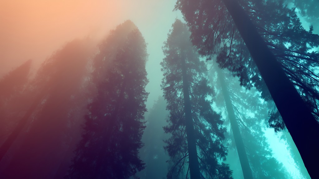 ADA Compliance Services